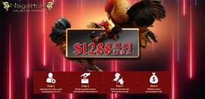 Agen Sabung Ayam Online S128